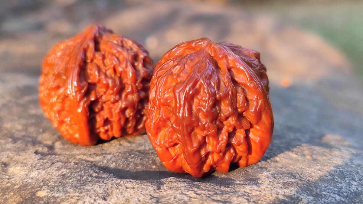 购买文玩核桃,什么最重要?文玩核桃购买全攻略!