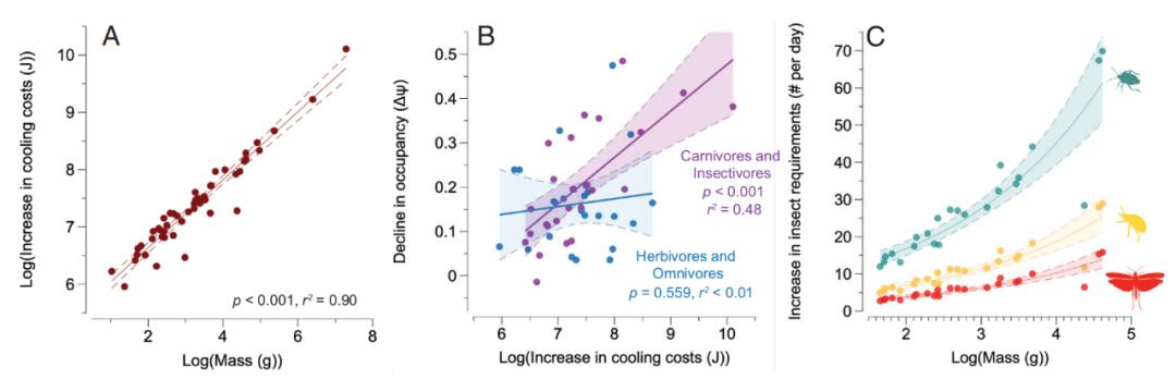 当猫头鹰飞入校园之后的样子,当猫头鹰在人家门口转头被吓到