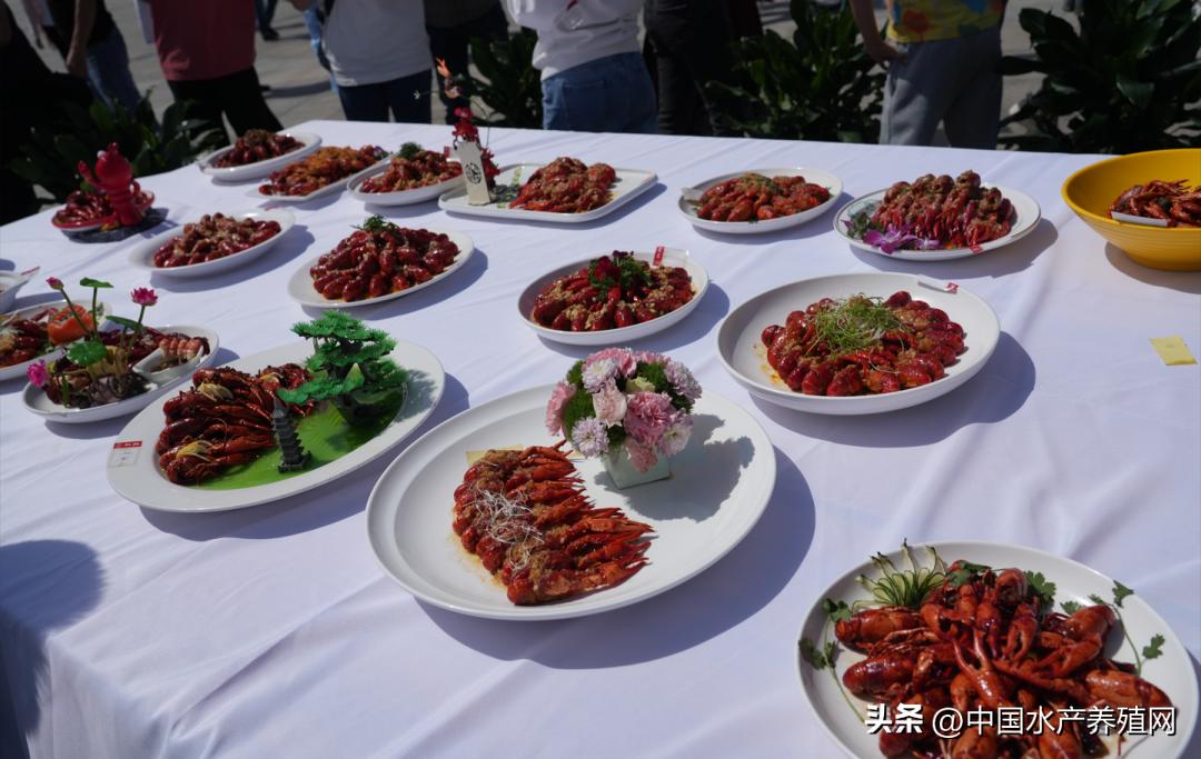 2023年南县小龙虾价格行情,南县小龙虾价格报价