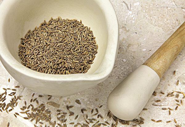 孜然是什么植物的茎,孜然是什么植物生长出来的