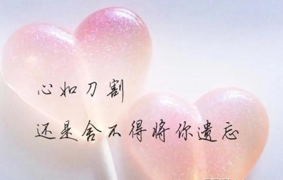 亲爱的，你从我的全世界路过，纵使悲凉也是情