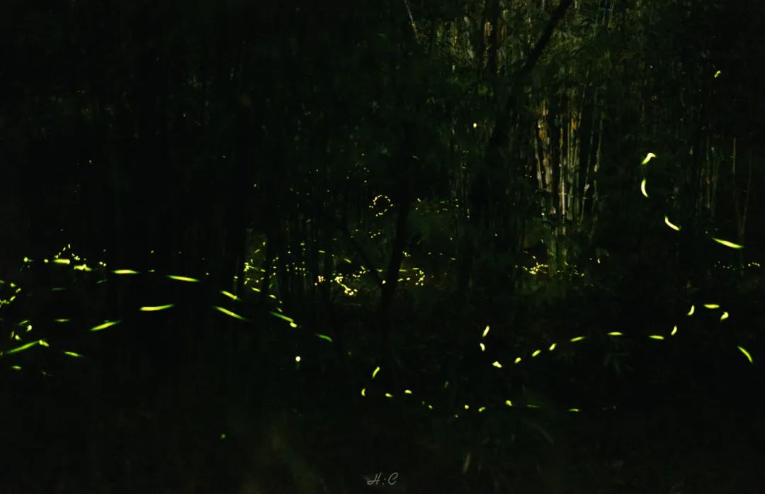 适合夏天避暑旅游的地方,适合夏天避暑的旅游地方