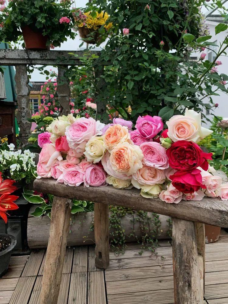 两家共用一个平台怎么解决,两家共用一堵墙发生矛盾怎么处理