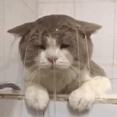 5月医疗险,近期最好的医疗险