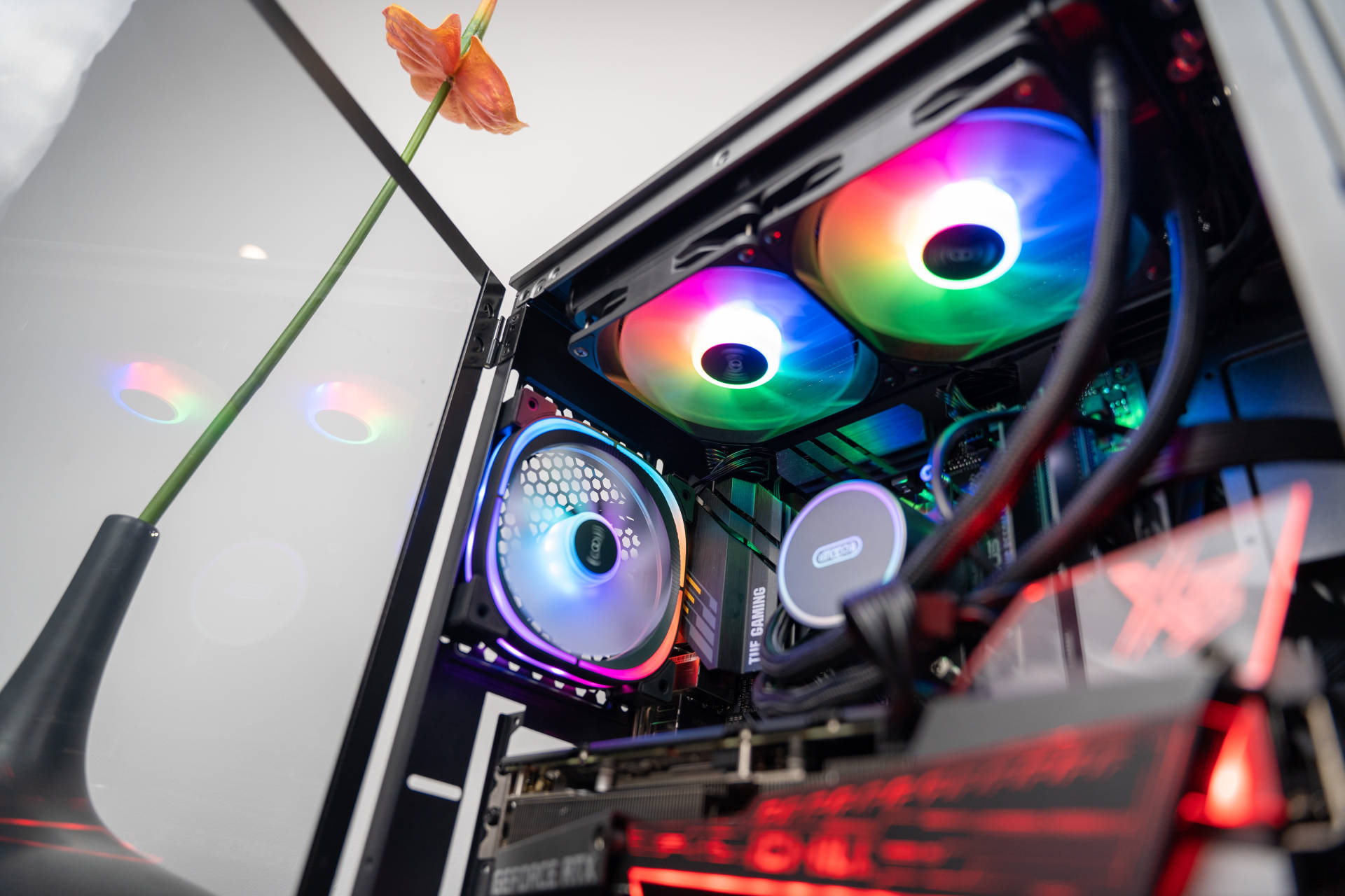 我就是小趴菜，又菜又爱玩！谁劝也不听的那种—矿卡我来了