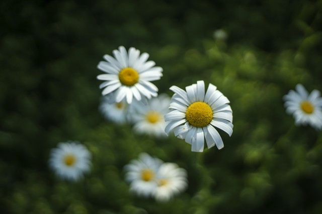 大姨妈来了能肛检吗,大姨