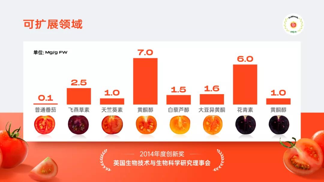 元气森林包装设计构思,元气森林精准营销方案ppt