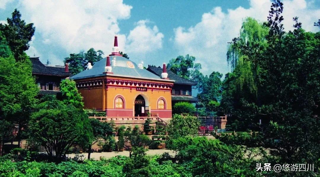 圣寿峨眉庆重阳,雪芽飘香万年长