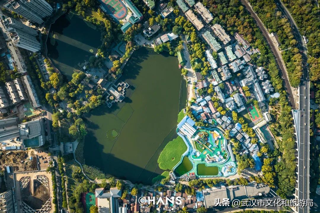 离武汉人最近的湿地，家楼下的10个宝藏小湖