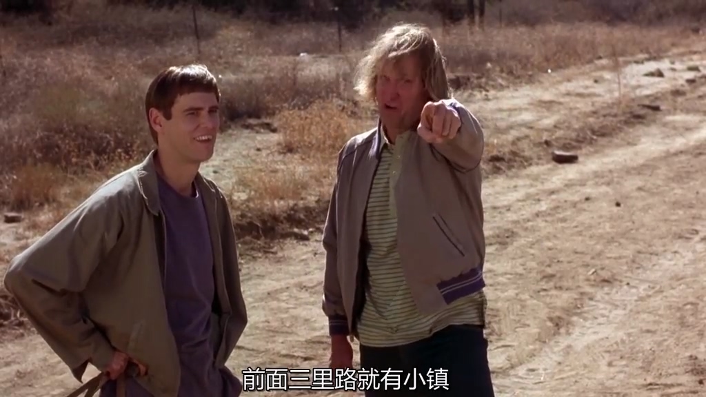 让人啼笑皆非的一部公路喜剧《阿呆与阿瓜》