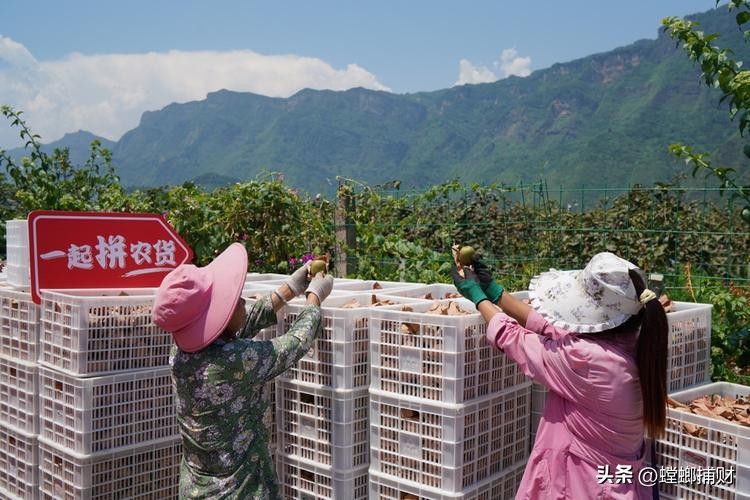 地标性农产品电商,地标性农产品有哪几种