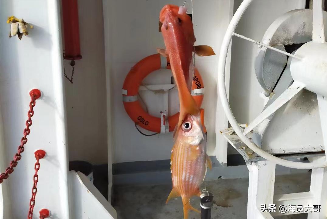 做海员每天都得工作,做海员服务好吗