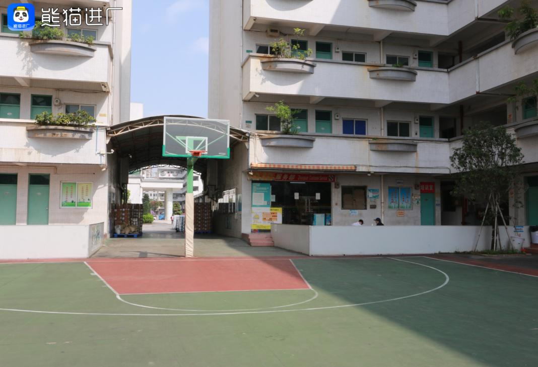 女子发现老板背后的秘密,女子发现老板的秘密完整版