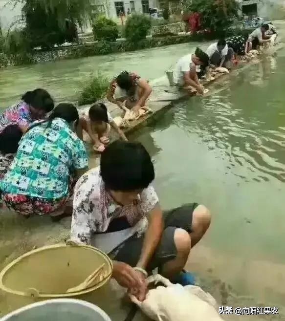 乡土八桂：七月中元话鬼节，吃鸭子、渡河公及其它