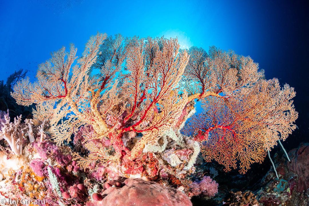 奔向西南，巴拉望归来不看海