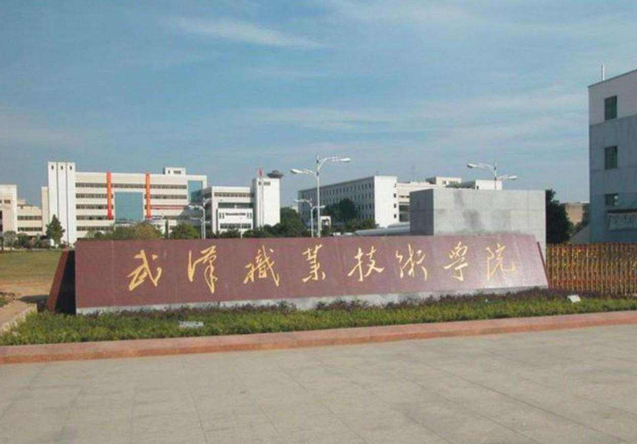 湖北武汉高职高专院校排行榜,最权威的湖北省公办高职院校排名