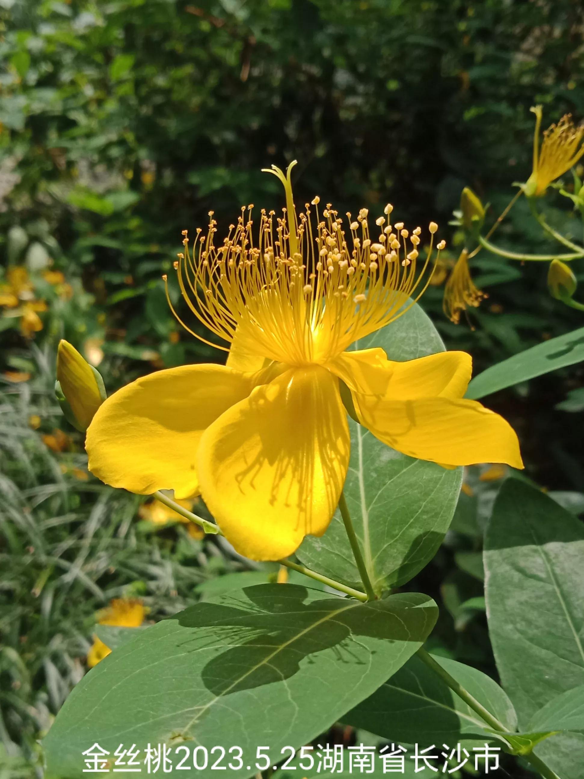 怎么找回没保存丢失的微信群,怎么找回没有保存的微信群