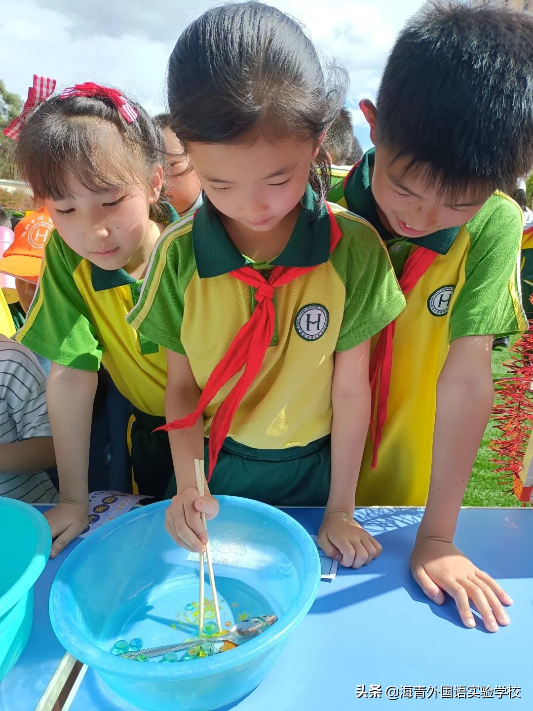 鏁板绱犲吇澶ц禌闈掑矝,瓒ｅ懗鏁板鐭ヨ瘑绔炶禌娲诲姩
