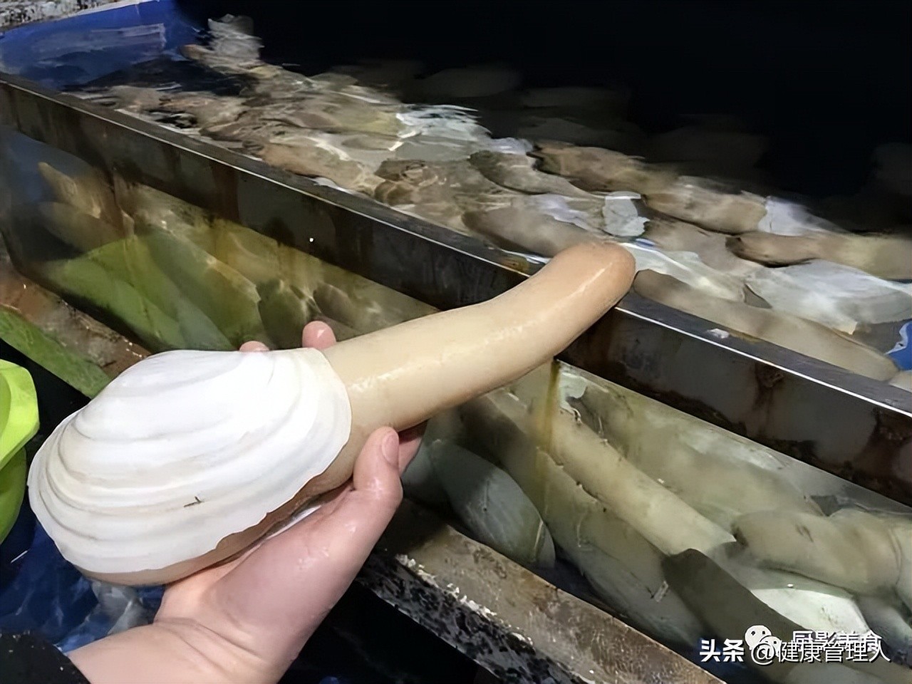 海鲜贝类品种大全及名字,22种海鲜贝类做法大全