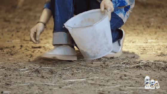 孟子义桃花坞捡羊粪是哪一期,敖瑞鹏桃花坞铲羊粪