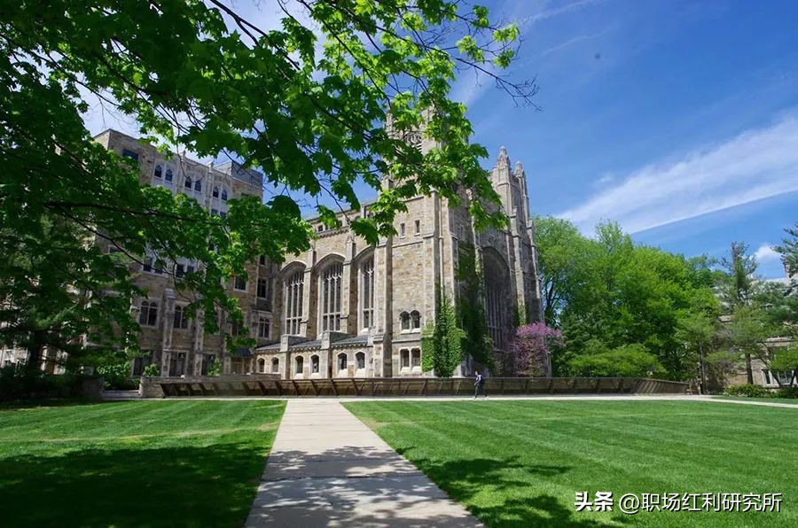 大专学历的码农出路在哪里,码农毕业就业前景