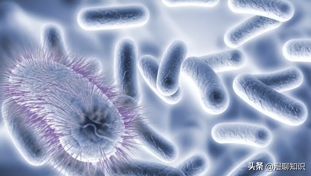 庆丰链霉菌是什么？关于它SQP1质粒的种间转移和表达