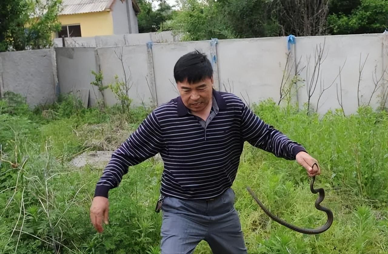 为什么打蛇要打七寸,打蛇七寸的七寸是指哪里