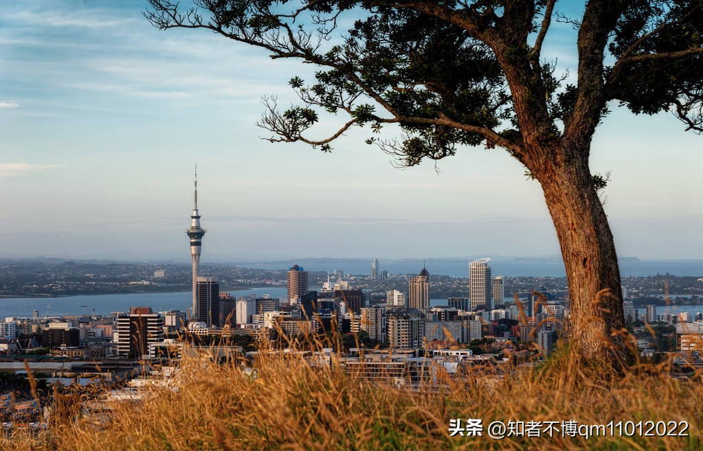 新西兰旅行 99. “帆船之都” 奥克兰市【北岛旅游篇】【19012023】