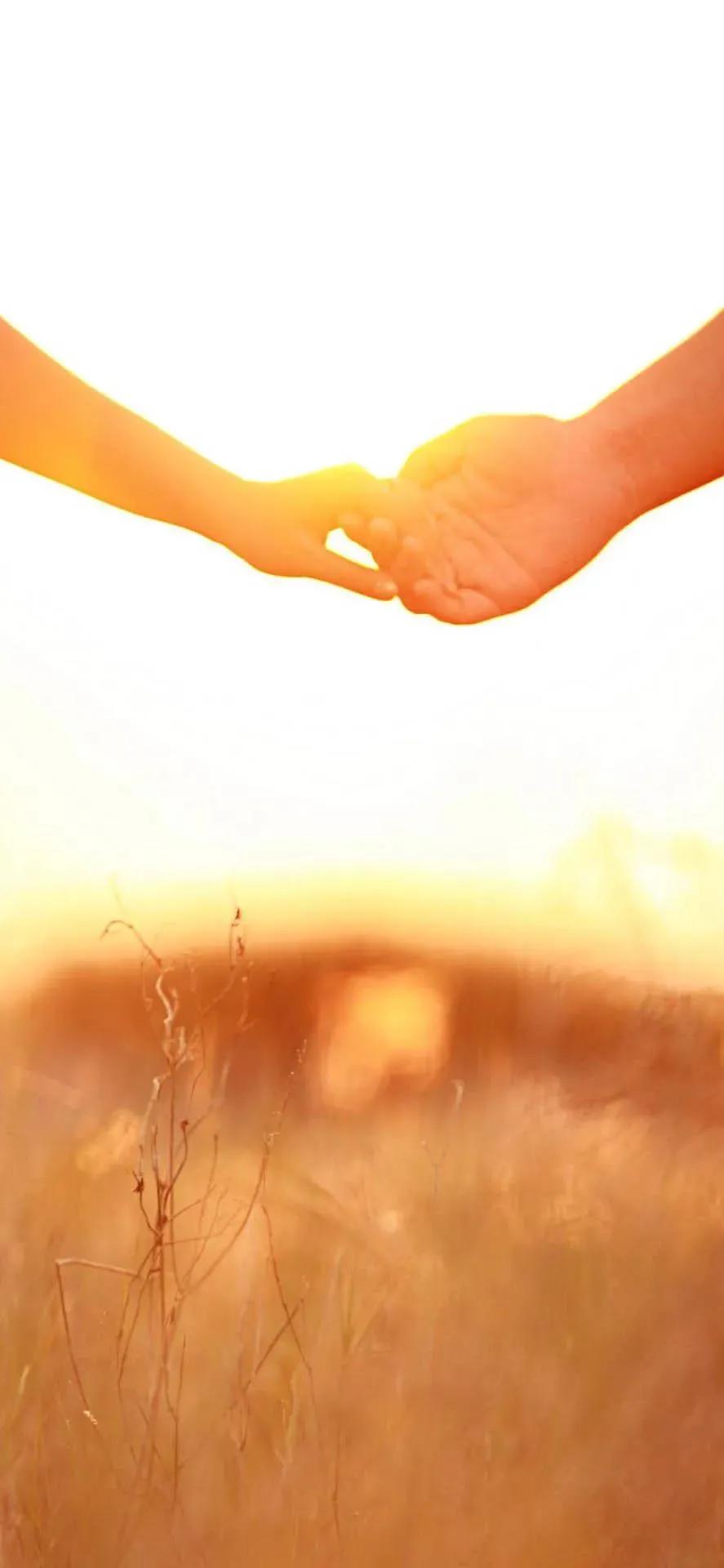 执子之手与子偕老且行且珍惜美图,美图分享执子之手与子偕老