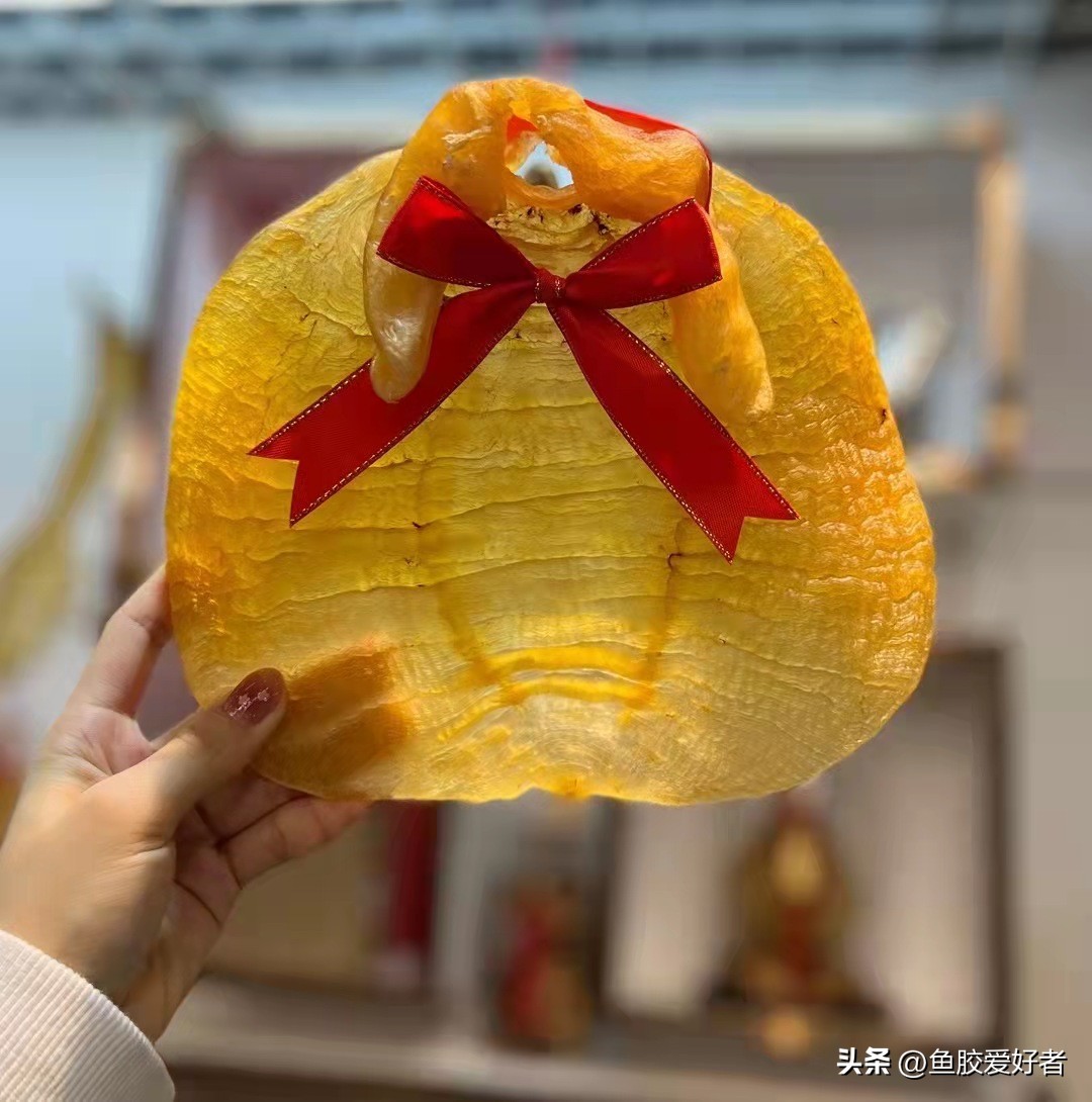 鱼胶哪个产地的最好,鱼胶最好的出产地在哪里