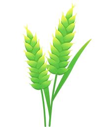 北京免费景美公园大全,北京这个公园也很美