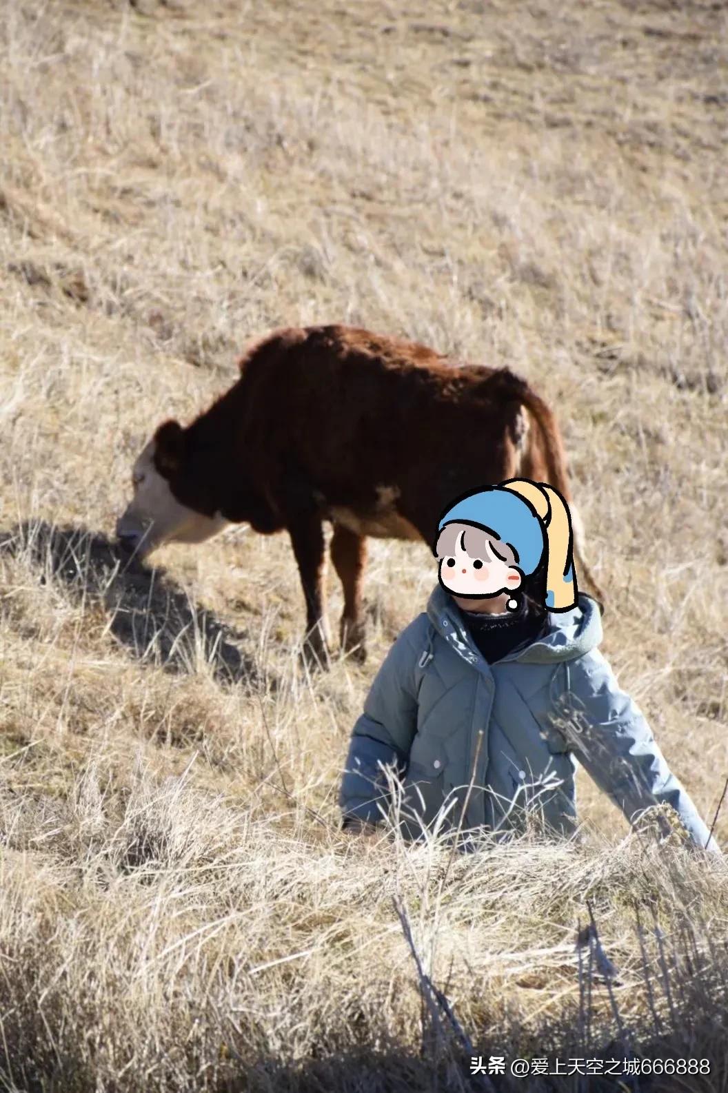 我们在云南全集,云南昭通大山包旅游攻略