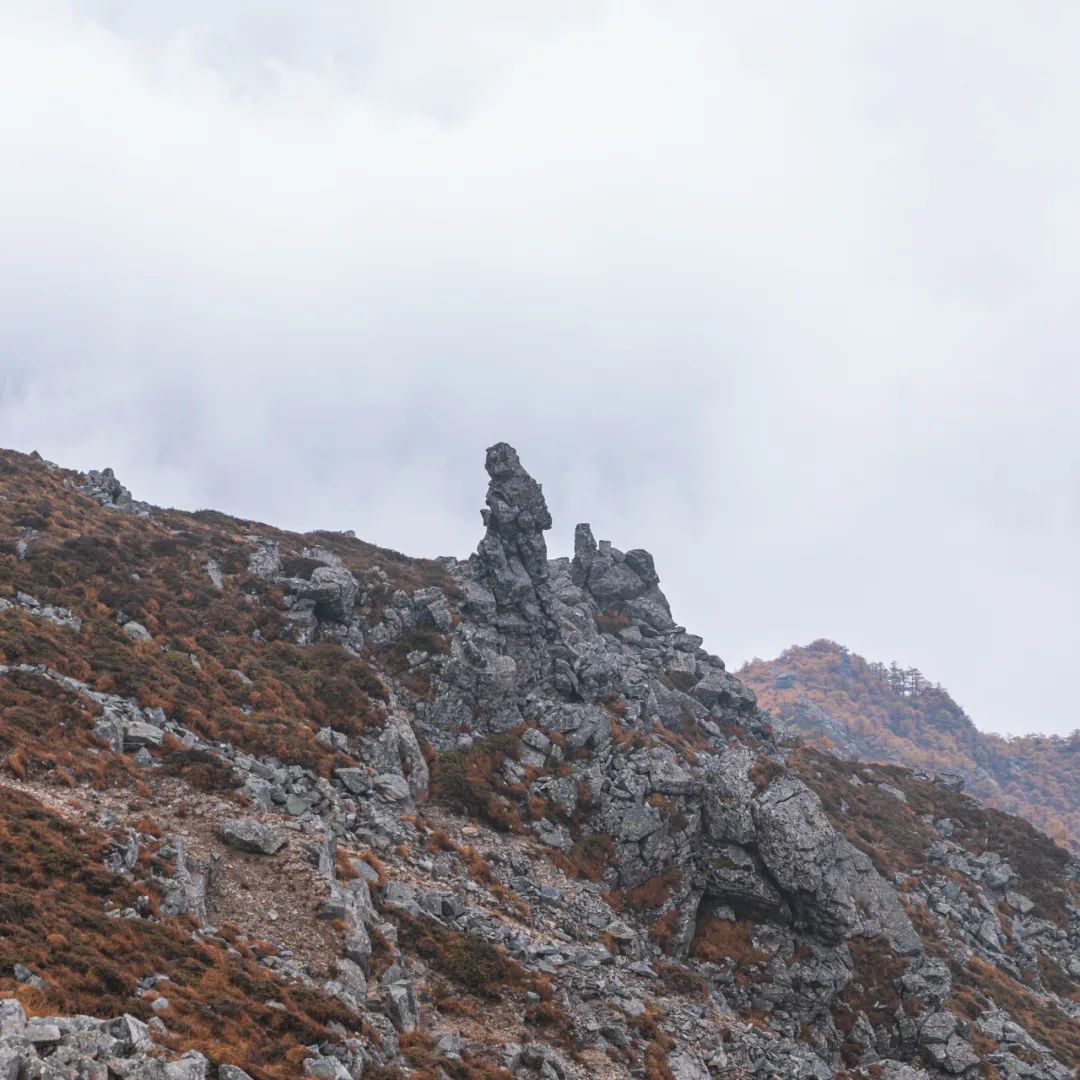 登太白山感受,太白山景区登顶拔仙台