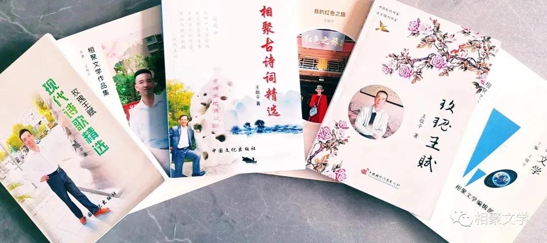 关于如何发展和运营秦岭热线暨净化网络平台环境发表了自己的看法