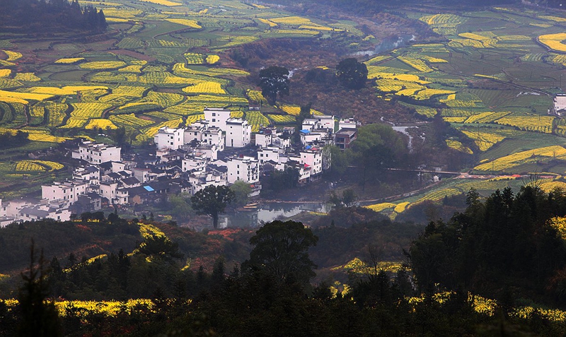 春色满园风景摄影,婺源摄影写真