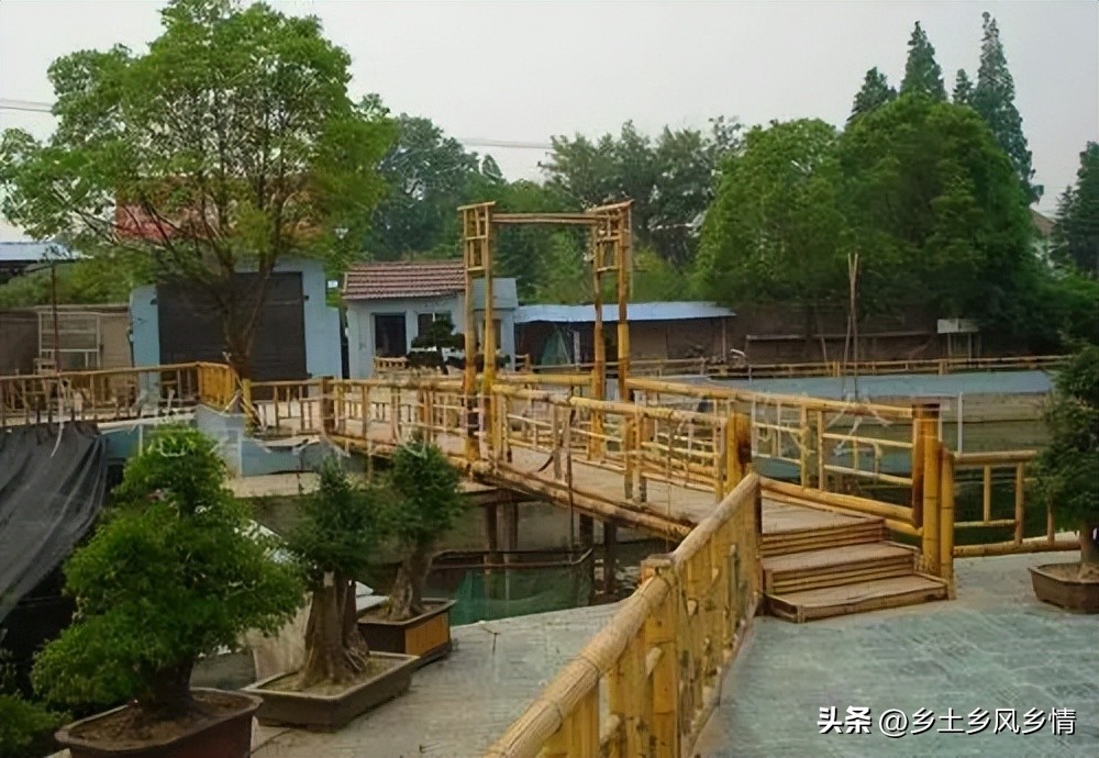 未来适合在农村创业的路子,回农村创业怎么做才能更快有收入