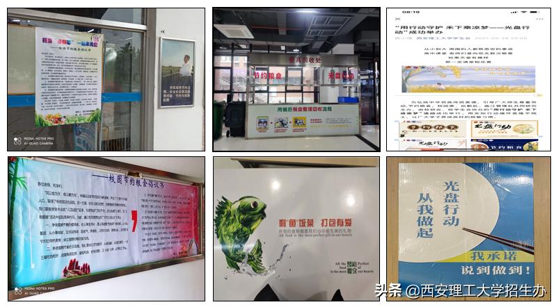 高校绿色学校创建工作总结,绿色学校创建行动方案四川高校