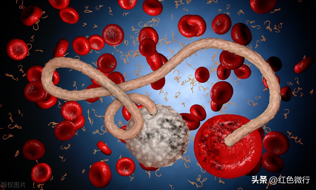 可怕十大病毒,和人类和平共处的病毒