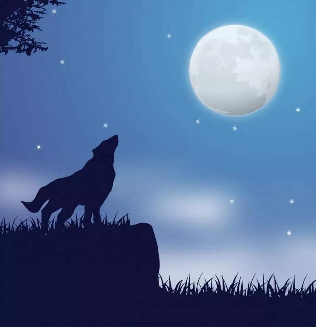 狼王梦哪些表现出母爱,关于狼王梦母爱的经典名句