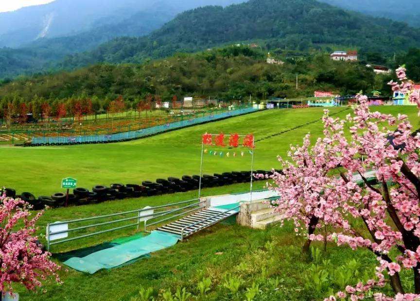 幸福像花儿一样全集免费观看,幸福像花儿一样歌曲