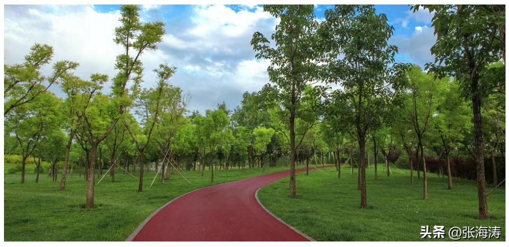 湖北园林绿化工程施工,湖北园林绿化景观设计施工养护