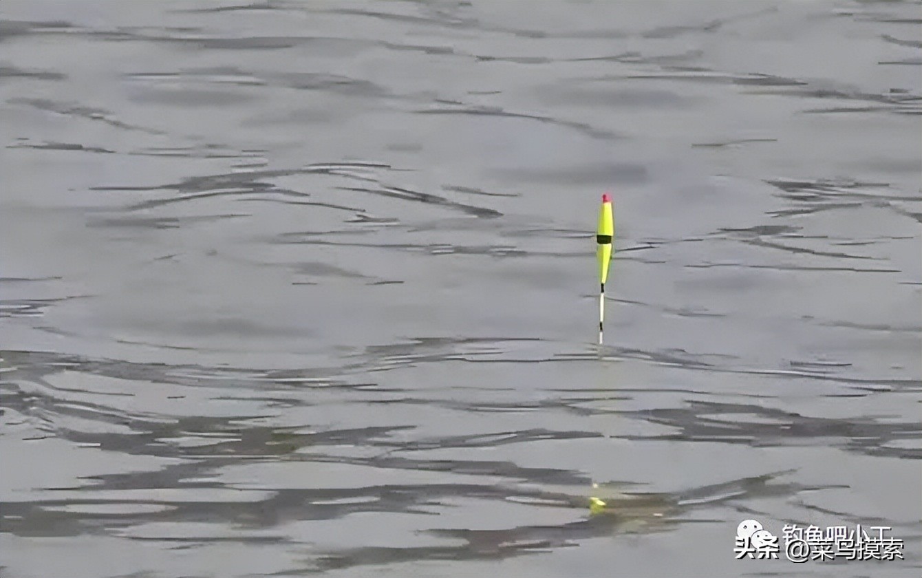 带饵调平水钓二到四目视频,带钩调四目钓二目怎么调