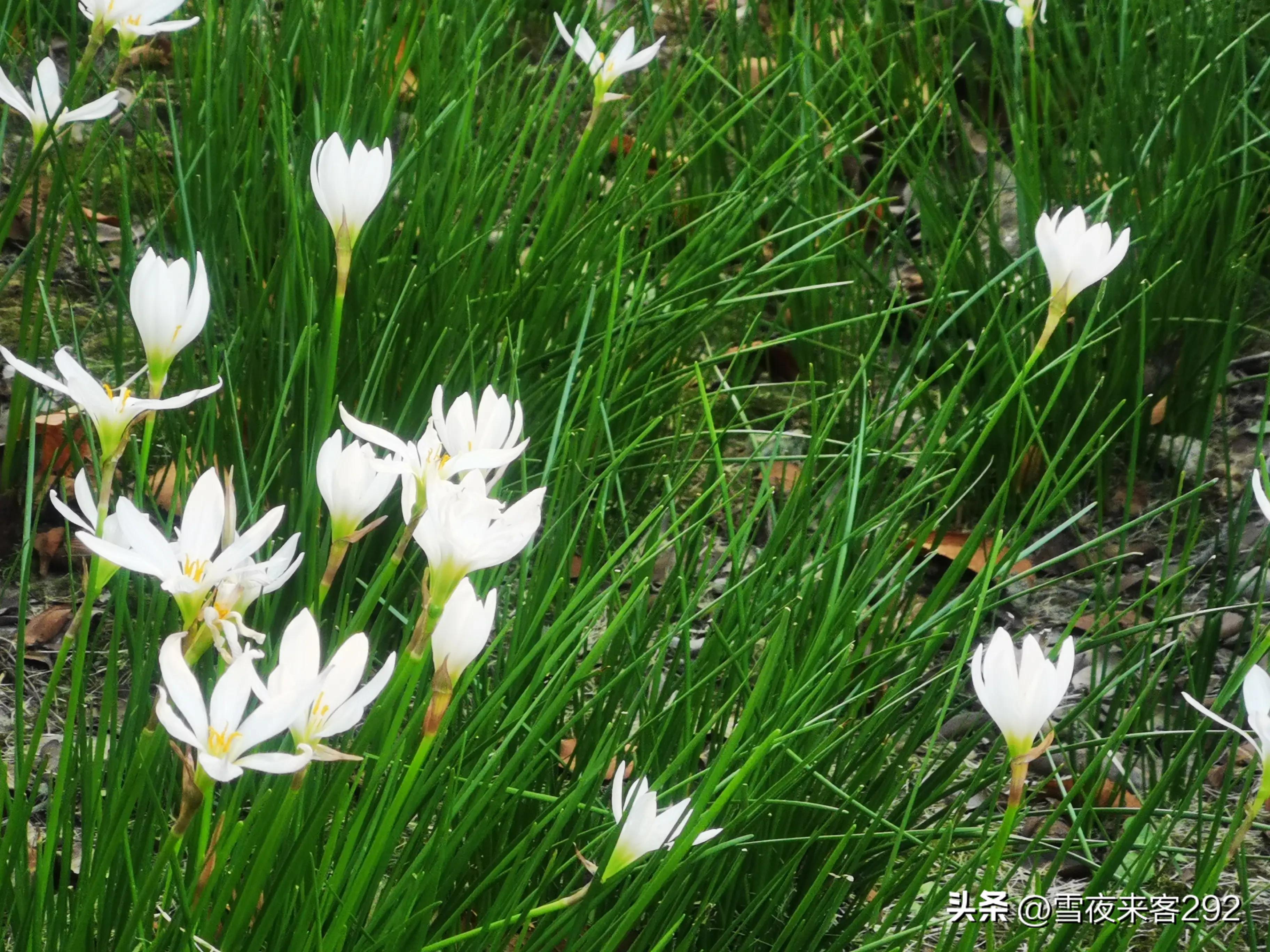 中国人名字与诗词,刻在骨子里的家国情怀文字