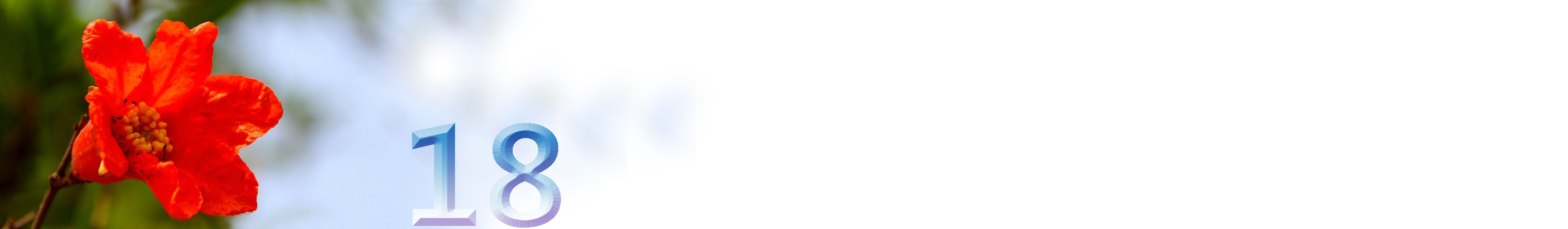 五月石榴花开的唯美诗句,关于石榴花的美文和诗句