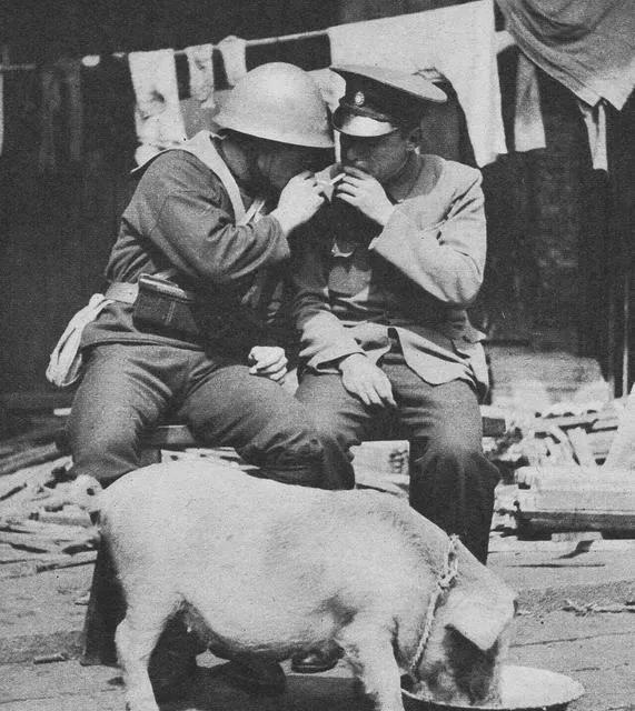 抗战时期我军抽的什么牌子的香烟,抗日的时候有哪些烟