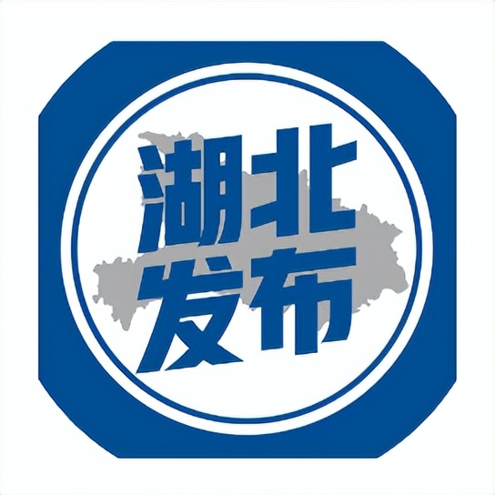 武汉马拉松2024志愿者报名入口,武汉马拉松志愿者招募条件