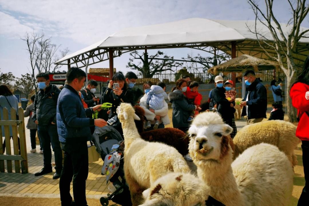 抢战春节假期，汇智数智云SaaS平台赋能文旅景区7天GMV破2000万