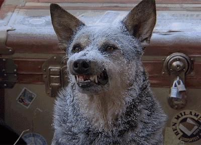 2022年股票搞笑总结,2021年上半年a股涨幅排行榜