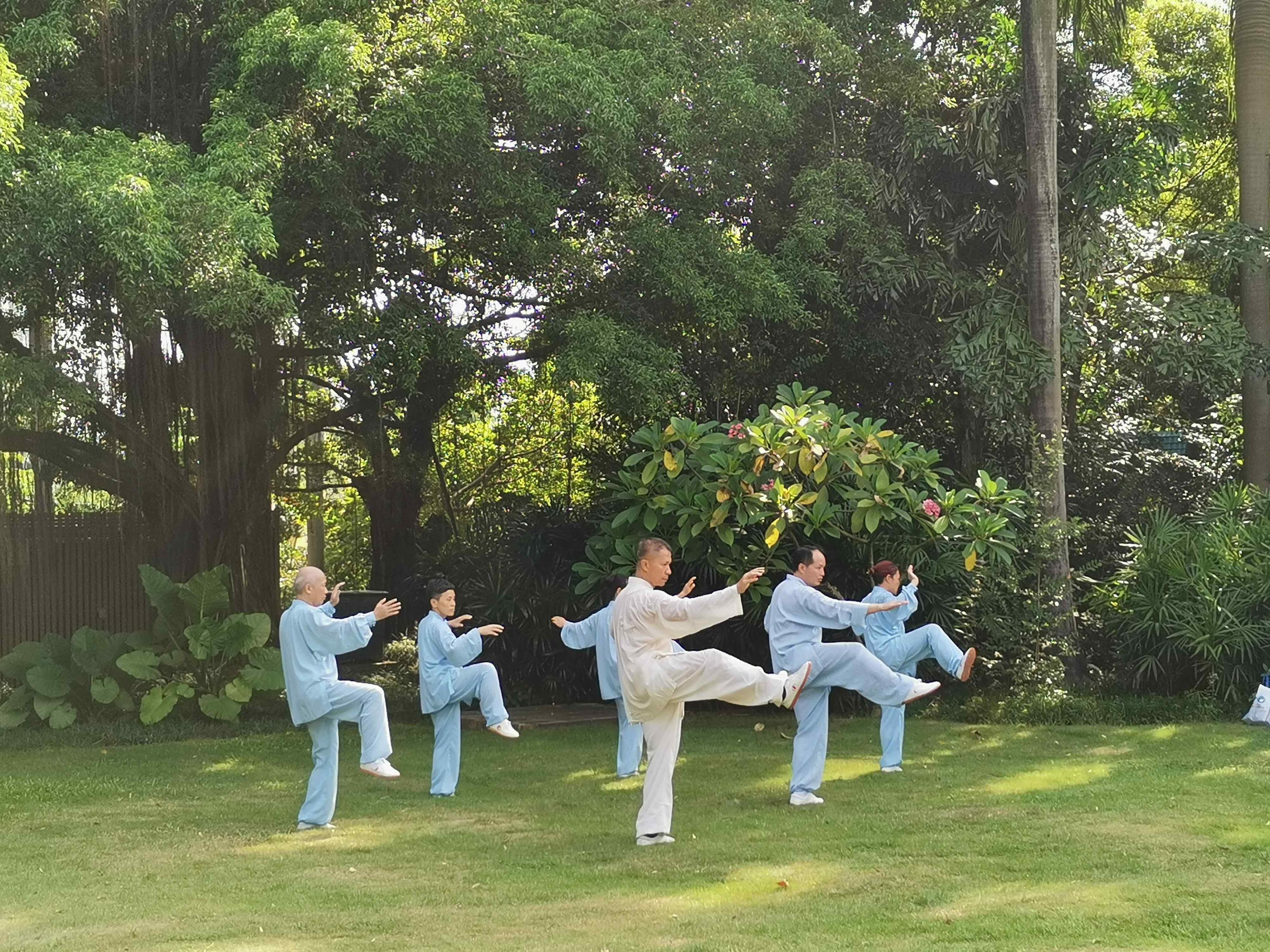 脑卒中偏瘫中医康复训练,脑中风的运动康复训练方法