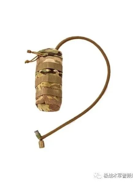 虎年说虎科普视频,虎年说虎运用了哪些说明方法